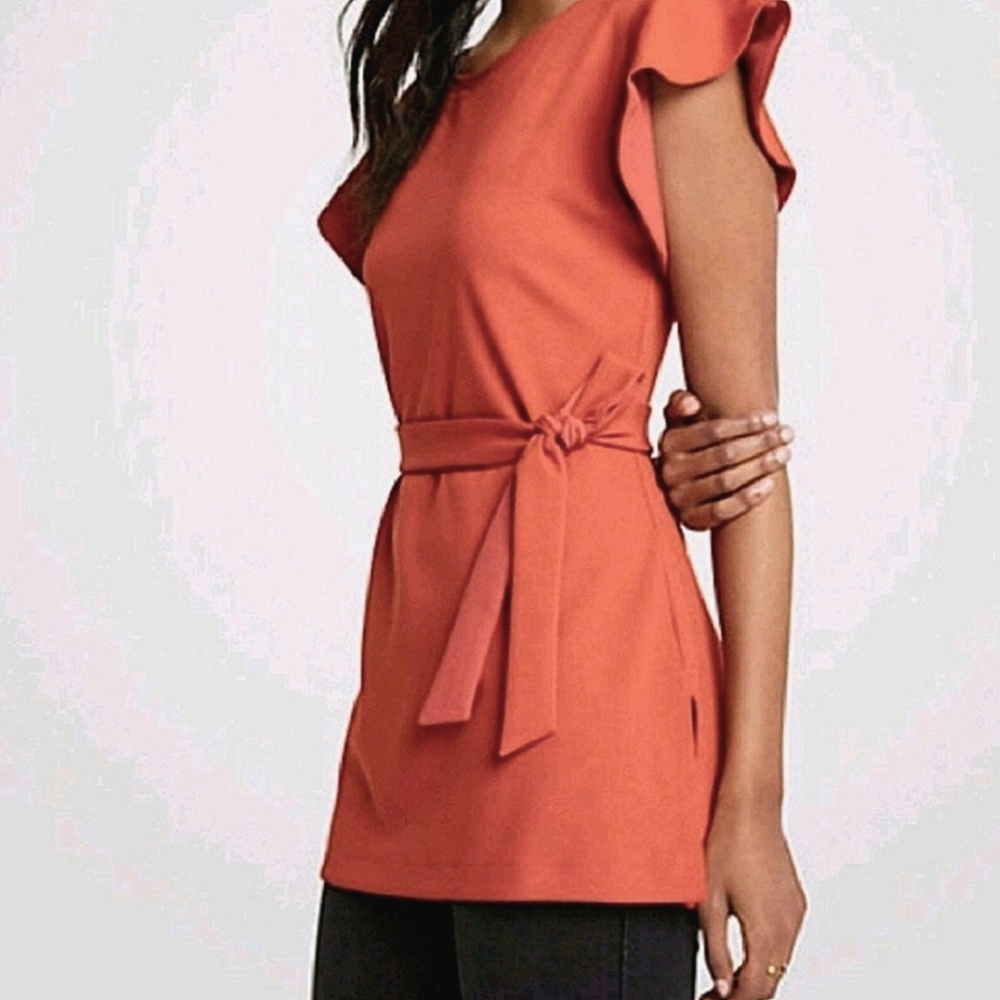 Ann Taylor Belted Tie Flutter Sleeve Tunic Blouse Top NWT